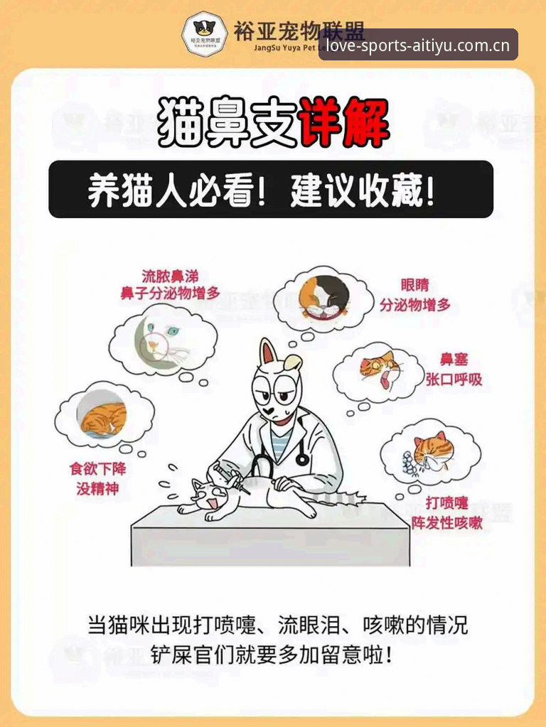 爱体育有风险吗推荐 爱体育平台使用体验详解:安全性分析与新手推荐指南